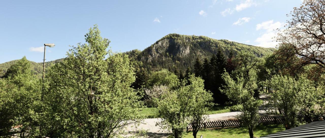 Urlaub Am Bauernhof Feldbauer Villa Landl  Buitenkant foto